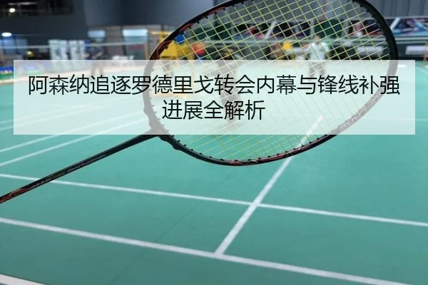阿森纳追逐罗德里戈转会内幕与锋线补强进展全解析