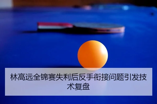 林高远全锦赛失利后反手衔接问题引发技术复盘